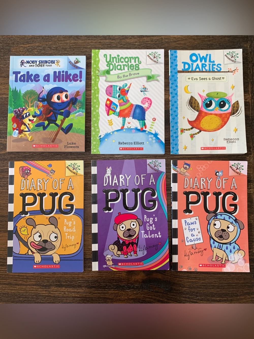 Scholastic Early Reader Lot (6 Books) – Branches & Acorn | Grades K–2